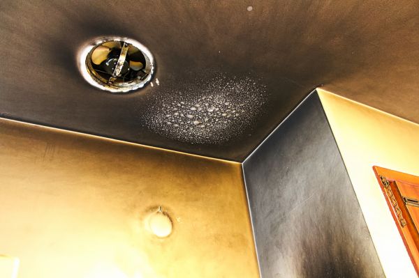 Smoke Damage Removal in Hamilton